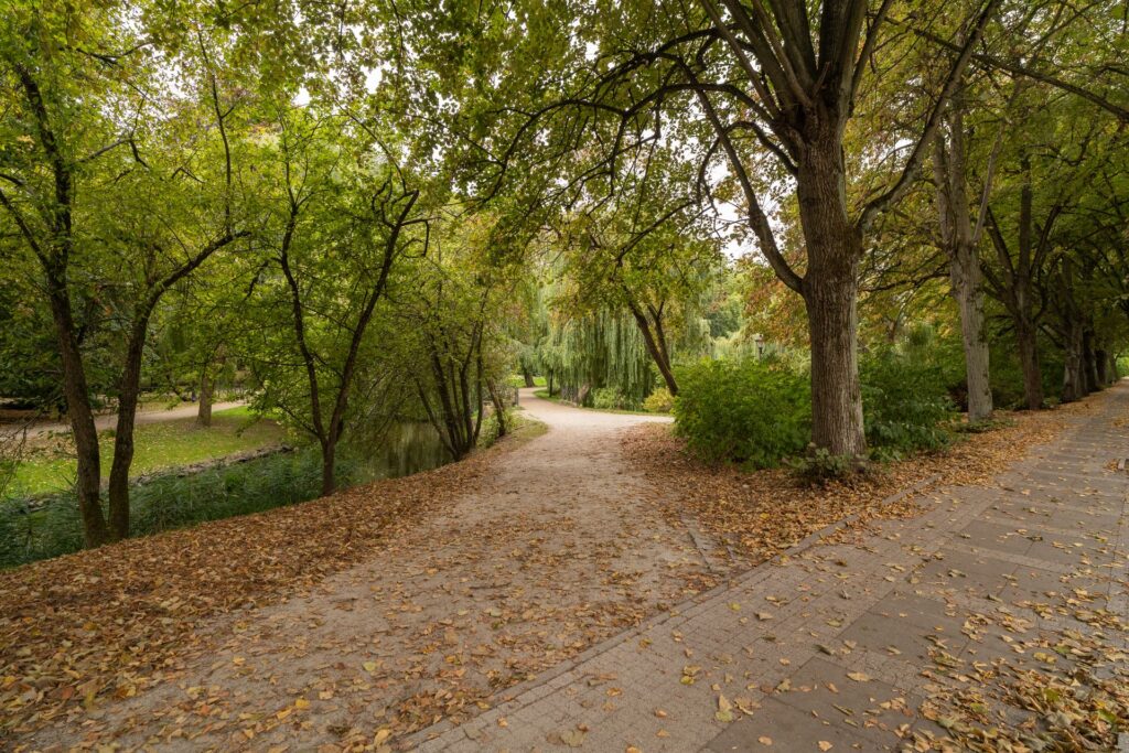 Herbstlicher Weg durch einen Park